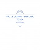 TIPO DE CAMBIO Y MERCADO FOREX