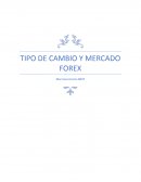 TIPO DE CAMBIO Y MERCADO FOREX