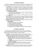 Los tejidos protectores