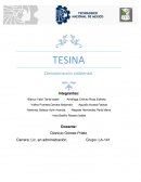 TESINA SOBRE CONTAMINACION AMBIENTAL