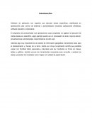 Reporte de investigacion Software de aplicación arcGIS