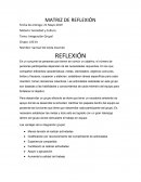 MATRIZ DE REFLEXIÓN. Integracion grupal