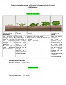 Ficha tecnica de lechuga
