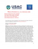 Vigas, modelo experimental