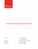 EVALUACIÓN - SUMATIVA ANÁLISIS DEL ENTORNO