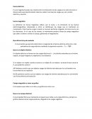 Derrotero de fisica