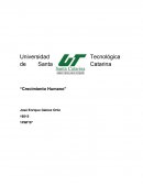 Mi visión del ser humano: Características, atributos y valores