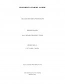 Seguimiento PTAR del salitre