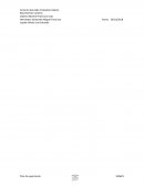 Plan de exportación ITZAE