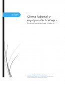 Comportamiento organizacional hotel Flex