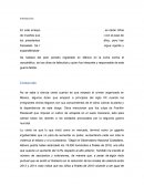 NARCOTRAFICO EN MEXICO