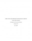 TEORIA Y TECNICA DEL PROCESO DE INVESTIGACION DE ACCIDENTES