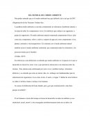 DIA MUNDIAL DEL MEDIO AMBIENTE