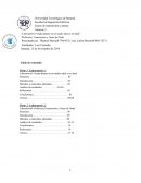 Laboratorio3–Ondas planas en un medio ideal y no ideal