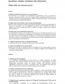 TEORIA GENERAL DEL PROCESО