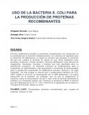 USO DE LA BACTERIA E. COLI PARA LA PRODUCCIÓN DE PROTEÍNAS RECOMBINANTES
