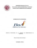 PRÁCTICA PROFESIONAL DE LA CARRERA DE ADMINISTRACION DE EMPRESAS