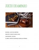 EL JUICIO DE AMPARO DIRECTO