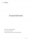 EMPRENDIMIENTO DEL PUEBLO MAPUCHE