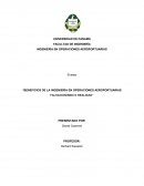 BENEFICIOS DE LA INGENIERÍA EN OPERACIONES AEROPORTUARIAS FALSACIONISMO O REALIDAD