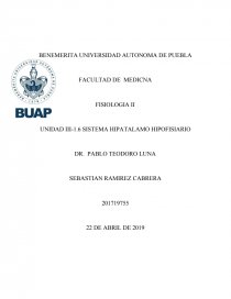 SISTEMA HIPOTALAMO- HIPOFISIARIO. Página 1