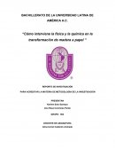 Cómo interviene la física y la química en la transformación de madera a papel