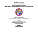 PROPUESTA DE TESIS TEÓRICA: TOXOPLASMOSIS Y FACTORES DE RIESGO EN EL EMBARAZO