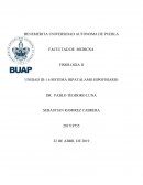SISTEMA HIPOTALAMO- HIPOFISIARIO