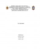 El Trazado: Alisado y Armonizado de formas