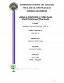 COMPAÑÍAS Y PASOS PARA CONSTITUCIÓN MATERIALIZADA