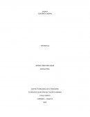 ENSAYO CONTRATO LABORAL