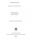 EMPRESA DE CALZADO INFANTIL PIIGU’S