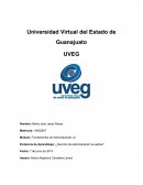 Evidencia de Aprendizaje: ¿Qué tipo de administración se aplica?
