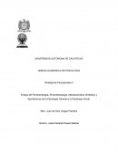 ENSAYO PARADIGMAS PSICOSOCIALES