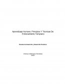 Aprendizaje Humano: Principios Y Técnicas De Entrenamiento Temprano
