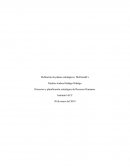 Definición de planes estrategicos McDonalds