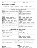 Ficha fonoaudiologica