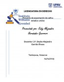 PROYECTO DE IMPORTACION DE CAFE