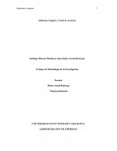 Estrategias empresa Ambrosse Lingerie