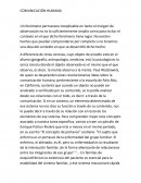 Comunicacion humana