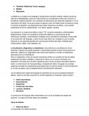 Afasia. Los pacientes con Afasia de Broca