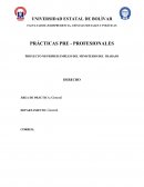 PROYECTO MI PRIMER EMPLEO DEL MINISTERIO DEL TRABAJO