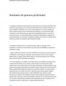 Seminario de integracion profesional