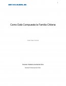 Composición de la familia chilena