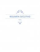 Resumen ejecutivo logistica