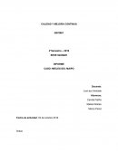 CALIDAD Y MEJORA CONTINUA.CASO: MIELES DEL MAIPO