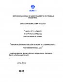 Importaciòn y distribuciòn de ropa de la empresa Wex Peru international SAC