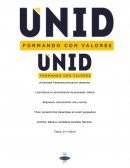 Desempleo ¿Dónde van a trabajar después de egresar de la universidad o de una maestría?