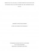PROPUESTA DE UNA GUÍA PARA LA GESTIÓN DE PROYECTOS DE INNOVACIÓN TECNOLÓGICA PARA EL SECTOR CERÁMICO DEL ÁREA METROPOLITANA DE CÚCUTA