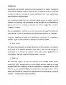 Reporte 3 Tensión superficial